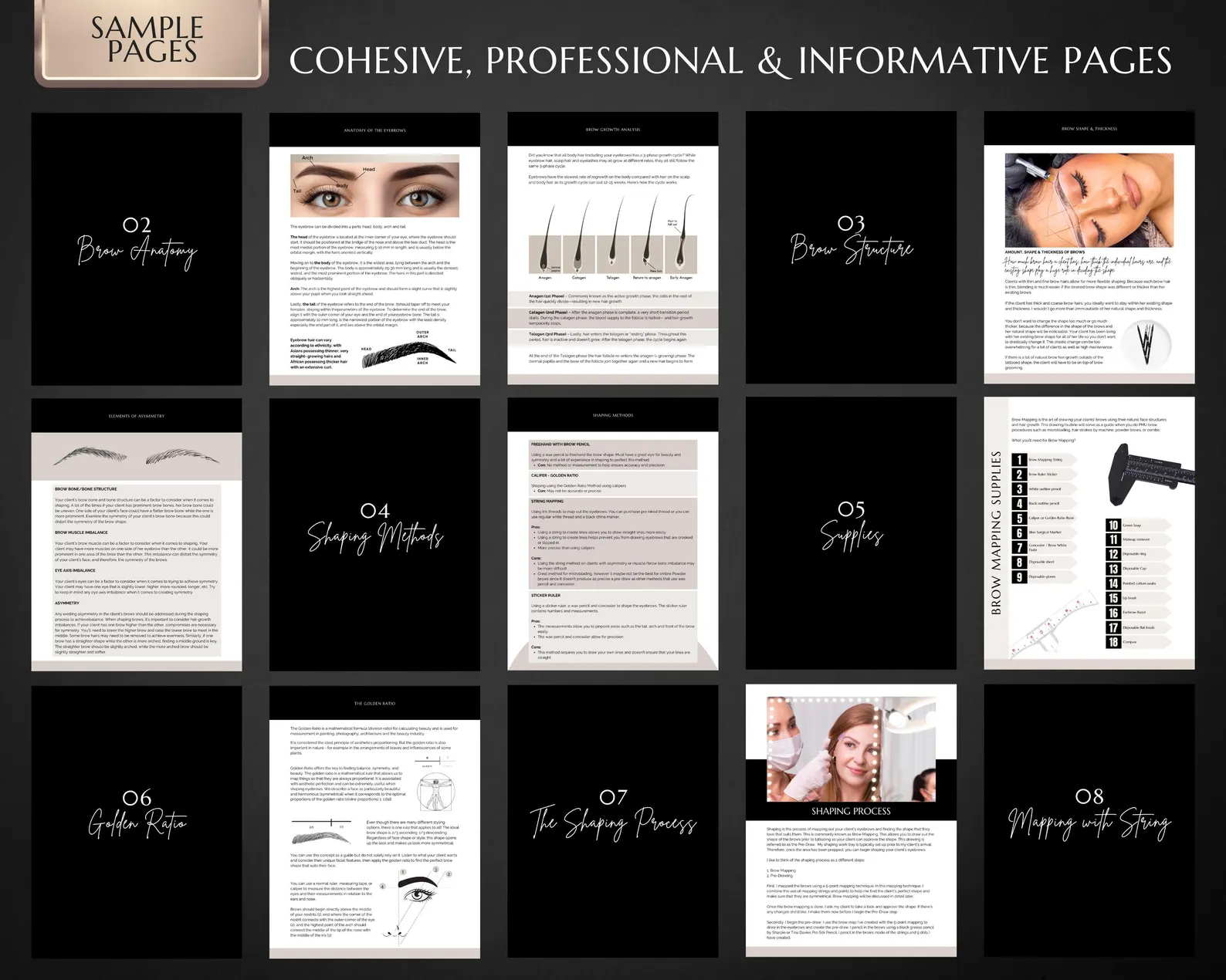 PMU Brow Mapping Techniques & Design Workbook - Image 2